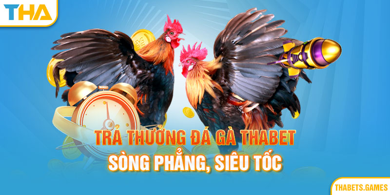 Trả thưởng sòng phẳng là một trong những lý do người chơi chọn lựa game bài Thabet